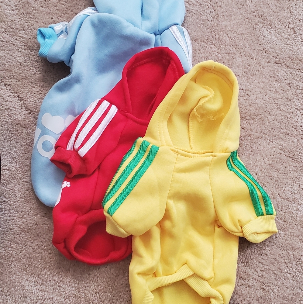 β οΈ Doggie adidog sweatshirts - Picture 3 of 8
